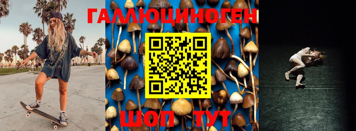 Галлюциногенные грибы Cubensis  Псилоцибиновые грибы Cubensis  Вход с VPN  Кандалакша 
